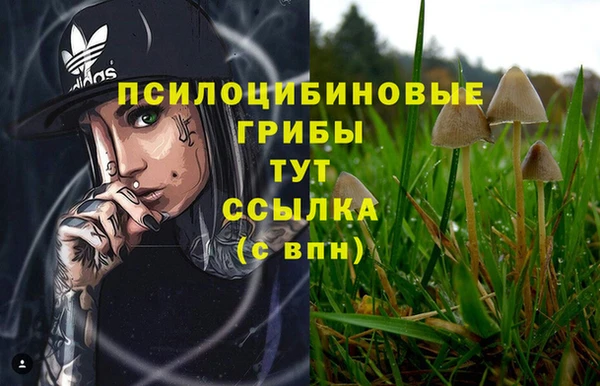 ALPHA PVP Балахна