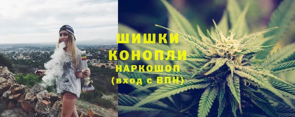 сатива Балабаново