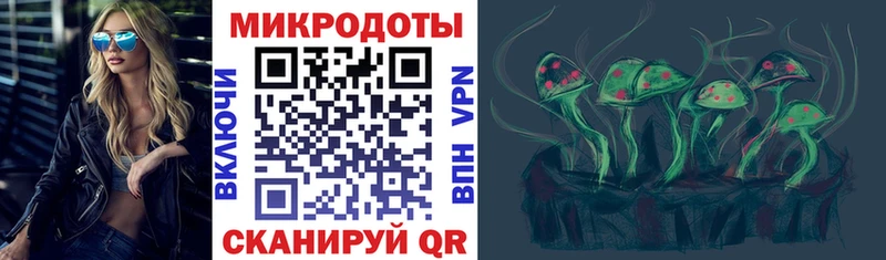 Псилоцибиновые грибы GOLDEN TEACHER  купить наркотик  Зерноград 